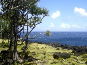 La Réunion-Une île classée à l’UNESCO